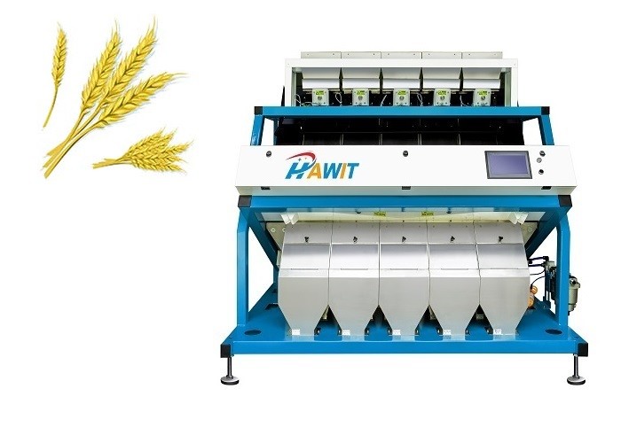 Os multi canais rejeitam o classificador gredoso da cor do trigo na linha da fábrica de moagem do trigo